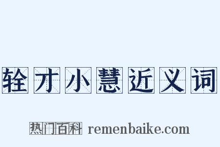 辁才小慧近义词是什么意思的图片